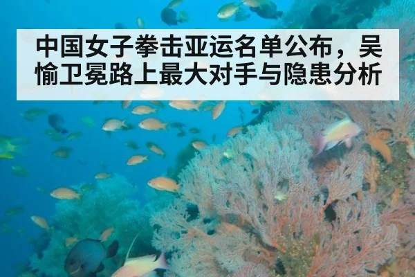 中国女子拳击亚运名单公布，吴愉卫冕路上最大对手与隐患分析